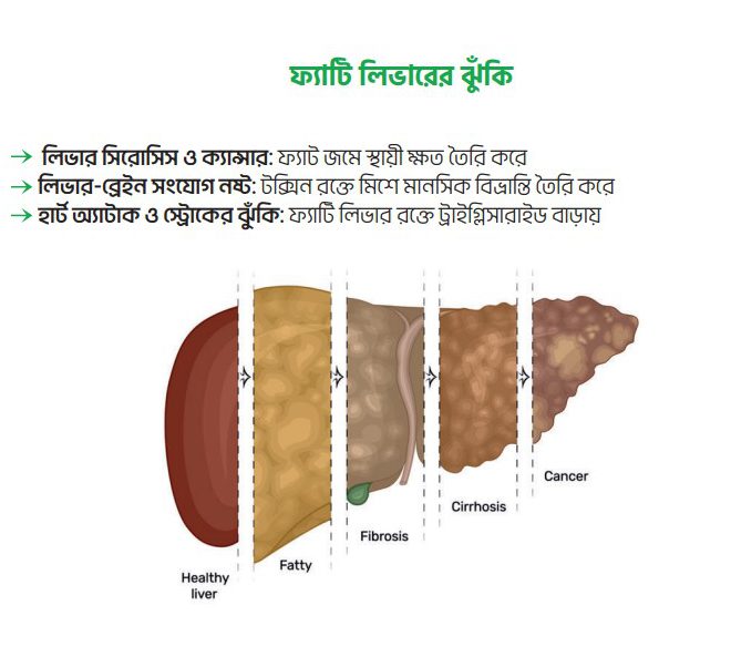 ড়ৃ্ড-৫-e1777543658845